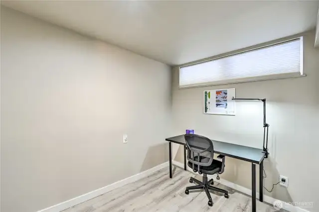 Unit B - Study area