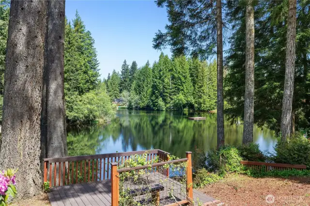 View to the lake from the landing