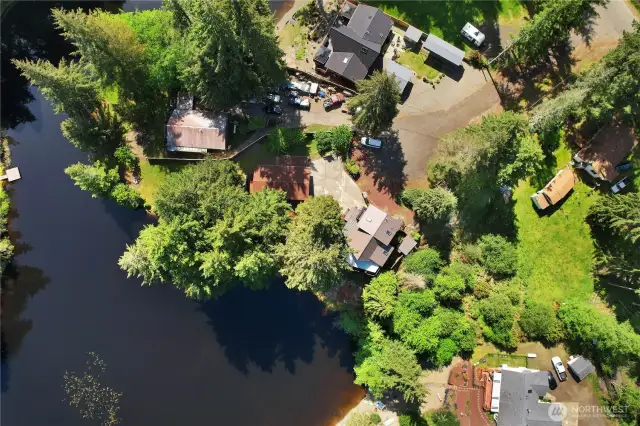 .55 acres of your oasis