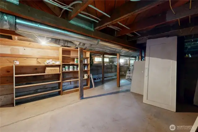 Unfinished basement storage