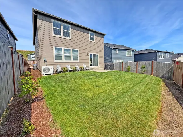 Fenced back yard