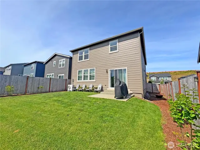 Fenced back yard