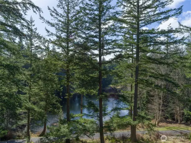 Views of Eagle Lake from the home.
