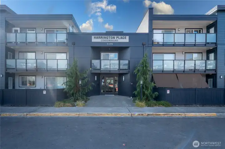 Newly remodeled modern exterior