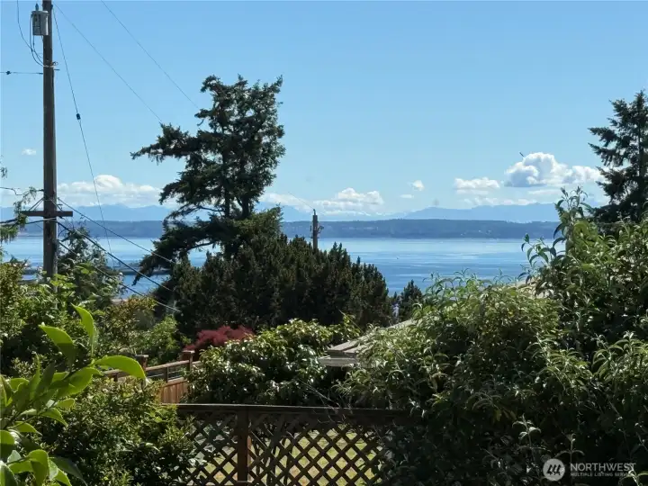 View from the living room