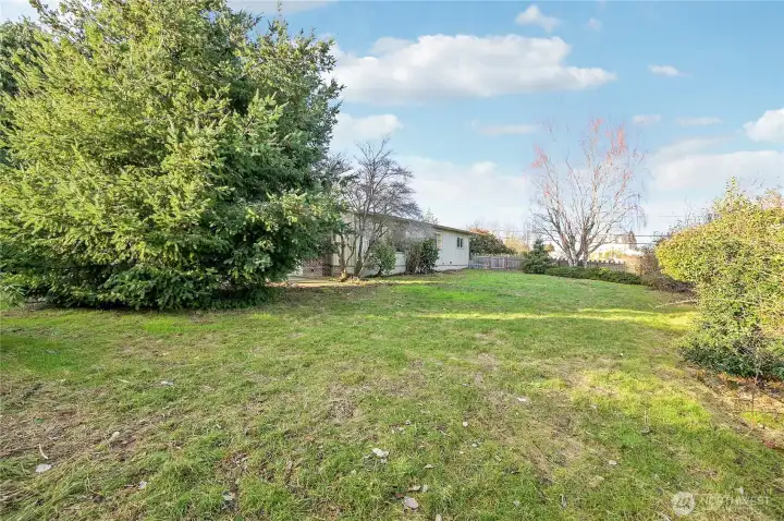 So much room to run and garden!