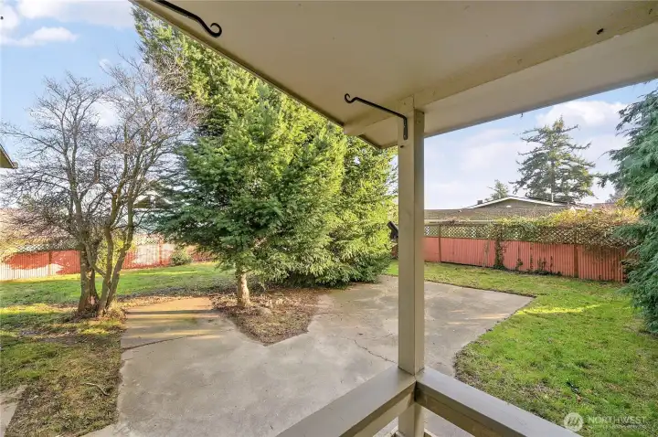 View from the back porch