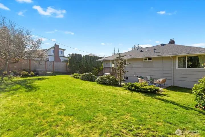 Huge back yard