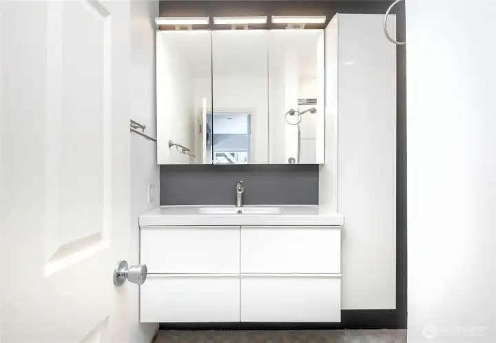 Basement Bathroom vanity with white cabinetry.