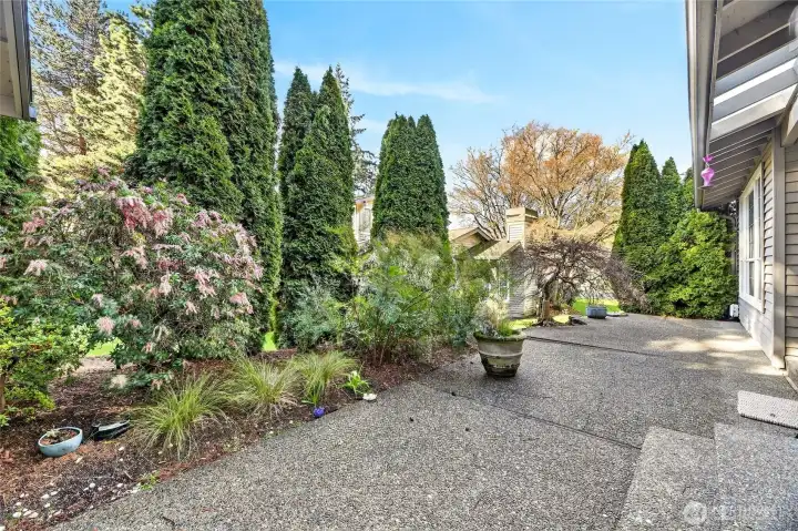 Expanded view of the backyard showcasing a generous patio, mature evergreens & layered landscaping. Peaceful setting offers excellent relaxation & a perfect backdrop for outdoor living.