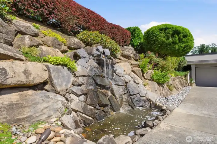 Water Feature