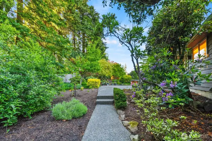Serene walkway