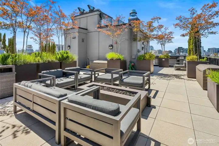 The rooftop lounge is equally impressive by day, offering the perfect place to entertain or simply relax. The rooftop lounge is equally impressive by day, offering the perfect place to entertain or simply relax.