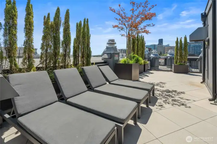 Stretch out in the sun and enjoy the rooftop's inviting chaise lounges. Stretch out in the sun and enjoy the rooftop's inviting chaise lounges.