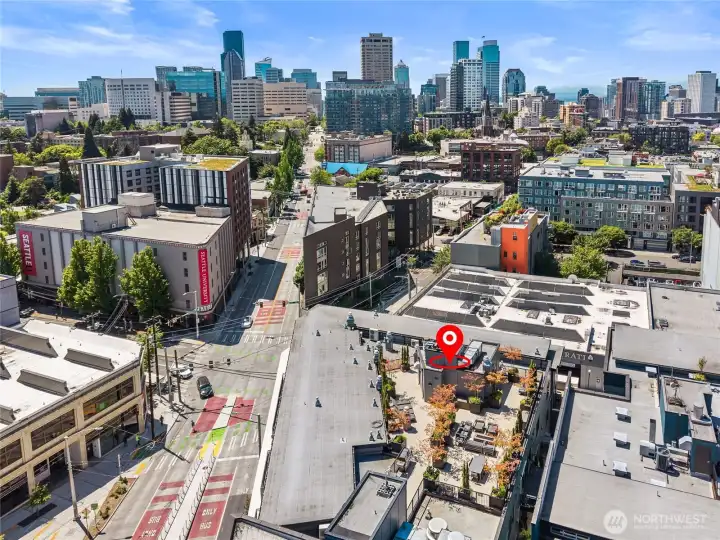 Aerial view highlighting the neighborhood and surrounding amenities. Aerial view highlighting the neighborhood and surrounding amenities.