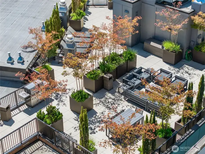Another look at this exceptional rooftop retreat. Another look at this exceptional rooftop retreat.