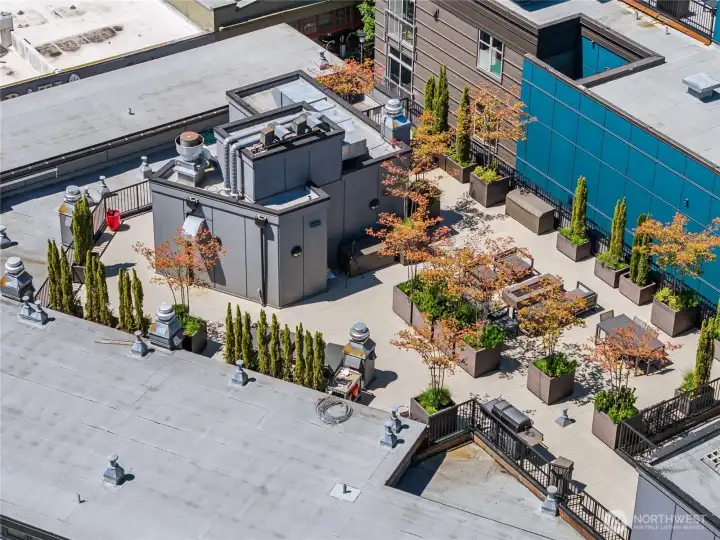 This rooftop oasis just might become your favorite place to relax and entertain. This rooftop oasis just might become your favorite place to relax and entertain.