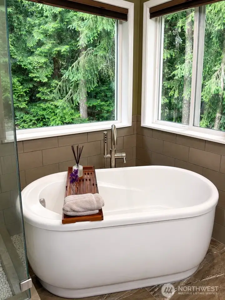Master bath tub Master bath tub