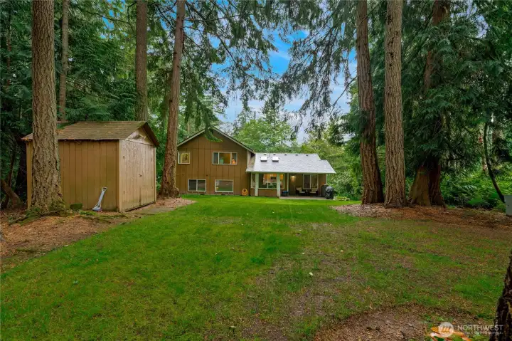 Backyard and shed view