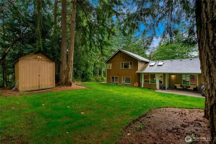 Backyard and shed view