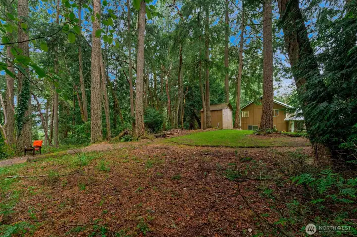 More backyard