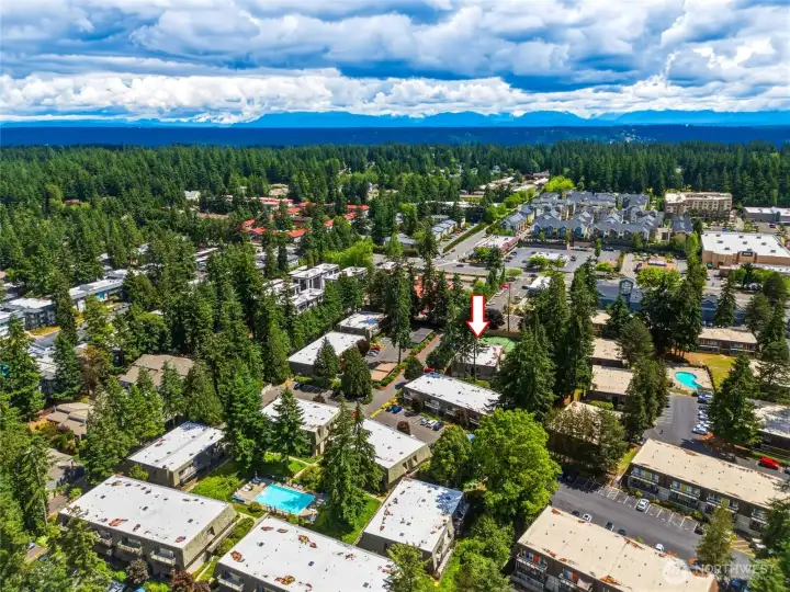 Ariel image of the condo complex and the amenities Ariel image of the condo complex and the amenities