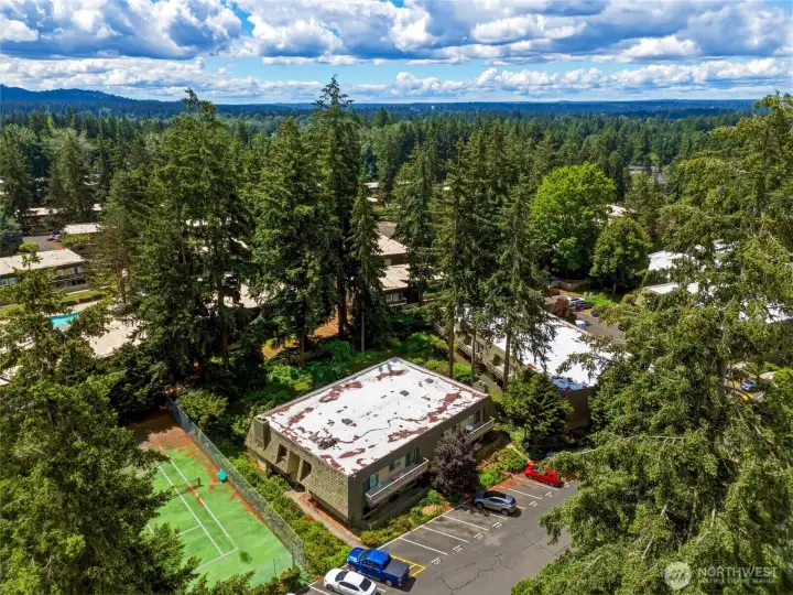 Athletic court is also a minute away. Tree material blew everywhere from the wind (brown color on the roof and tennis court). Athletic court is also a minute away. Tree material blew everywhere from the wind (brown color on the roof and tennis court).