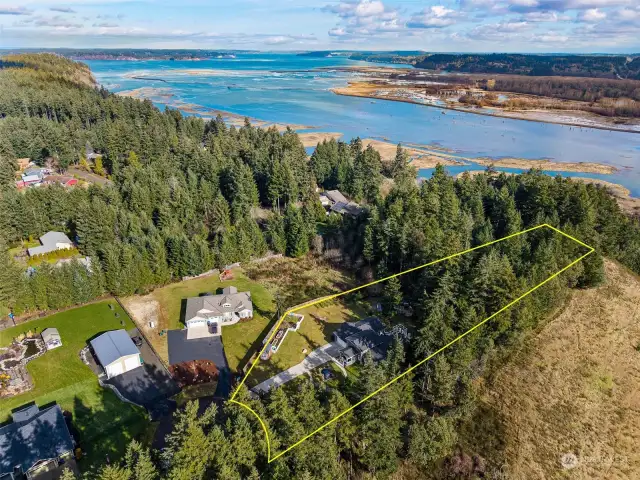 Saltwater breezes are standard on this huge property being right next to the Nisqually Delta, where glacial water draining off Mount Rainier meets the Puget Sound, the Nisqually River has created a vast, thriving delta. Explore over 4 miles of trails through the Billy Frank Jr. Nisqually National Wildlife Refuge, immersing yourself in the vibrant delta ecosystem. The 762 acres of the refuge offer a temporary home to over 300 species, including eagles, salmon, seals, tree frogs, and many varieties of waterfowl. All just minutes from this home!