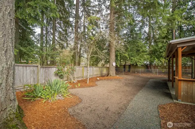 Back Yard Oasis