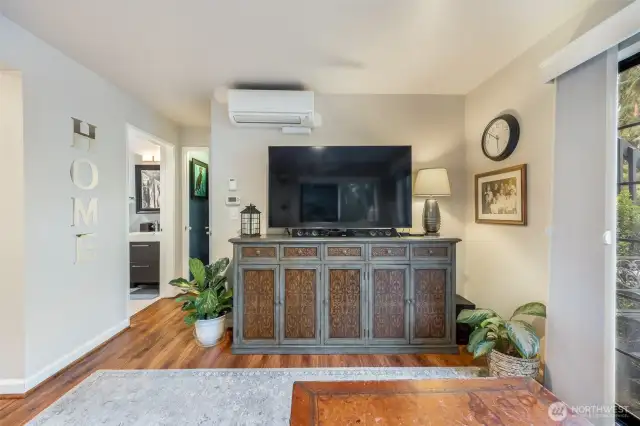 4th bedroom/bonus room (downstairs)