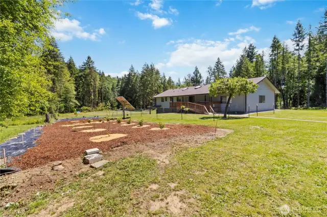 Fruit Trees and Garden Space