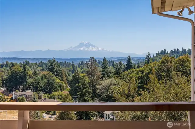 Mt Rainier from the deck!