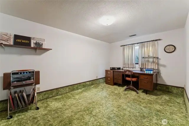 2nd bedroom lower level & there is also a huge storage room on the lower level!