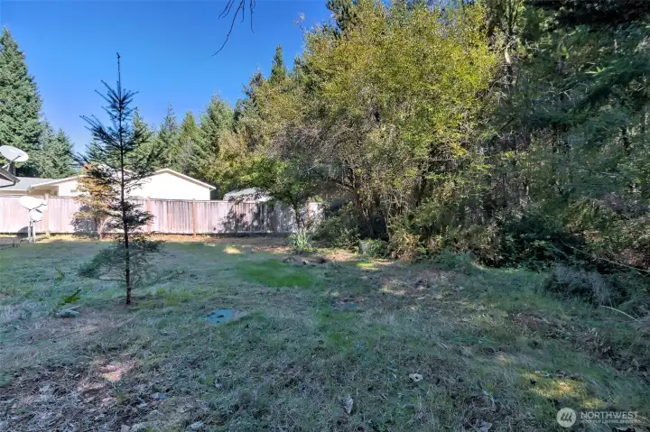 Spacious Backyard