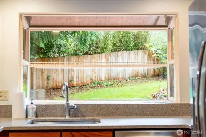 Backyard from Kitchen Window