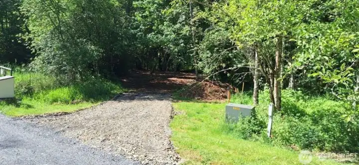 property in the summer