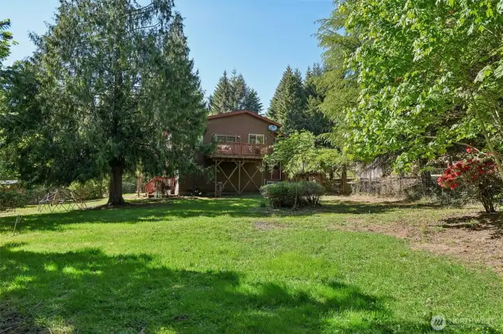 Massive side yard