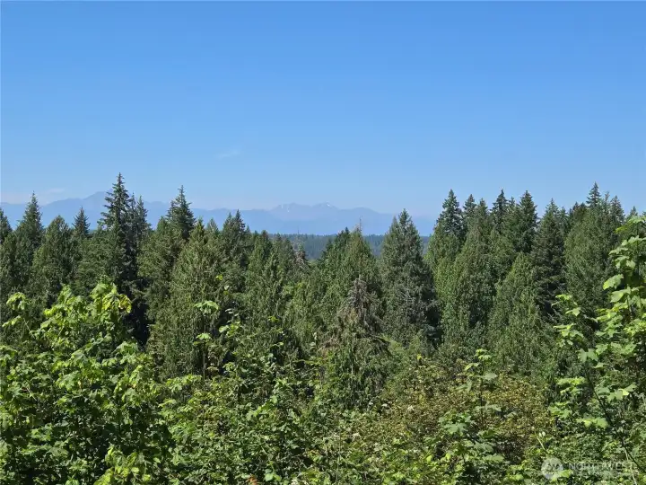 With the Olympic Mountains as your backdrop