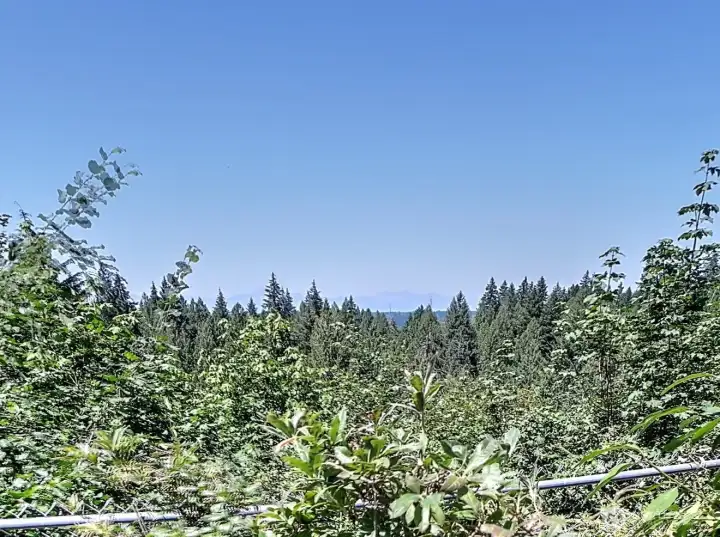 A home with a view