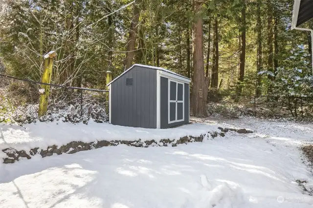 Storage Shed in Backyard