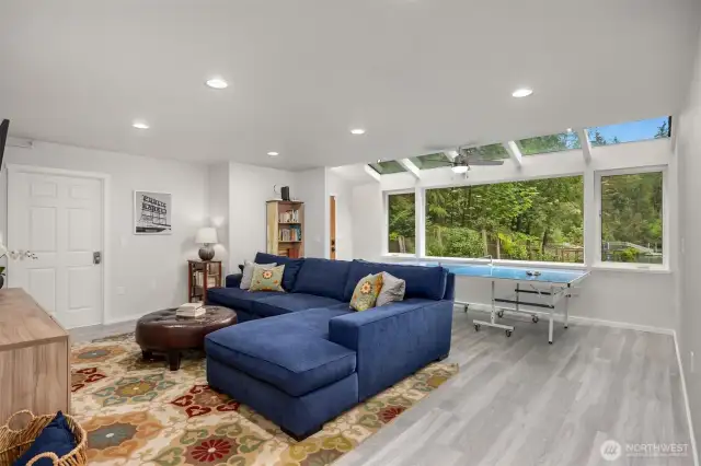 Downstairs media room and ping pong