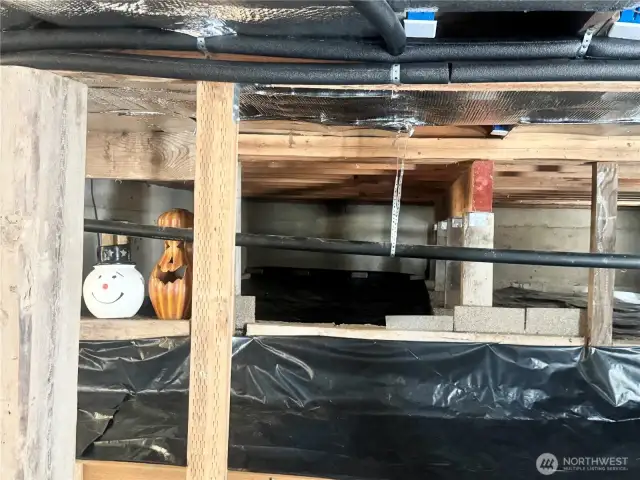 Amazing storage area under the home is 6' tall, clean, and dry. It offers a practical solution for storing items while maintaining the property's aesthetics.
