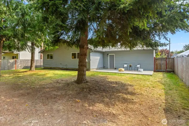Mature trees offer great shade during those hot Summer days!