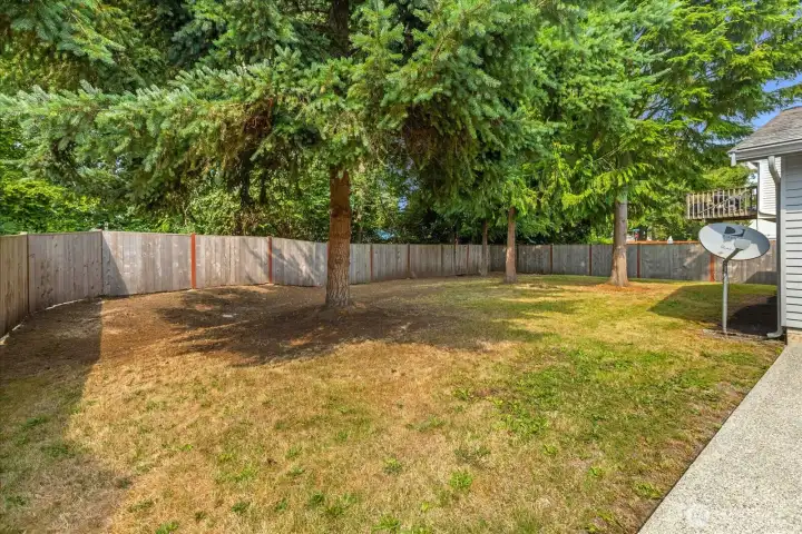 Backyard backs up to small forest area, offering lots of privacy!