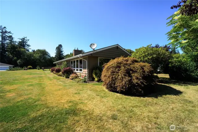 Front yard