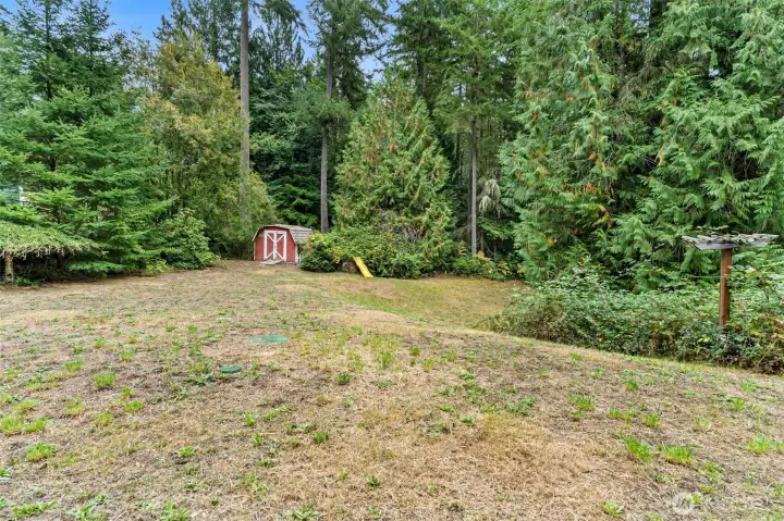 Huge fully fenced backyard with shed and slide.