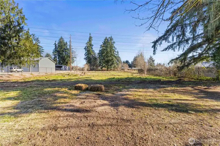 Huge yard could handle a horse.