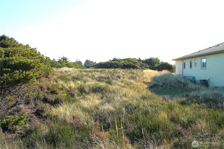 --- its the perfect --