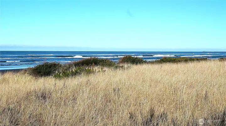 ---- simply spectacular ocean --