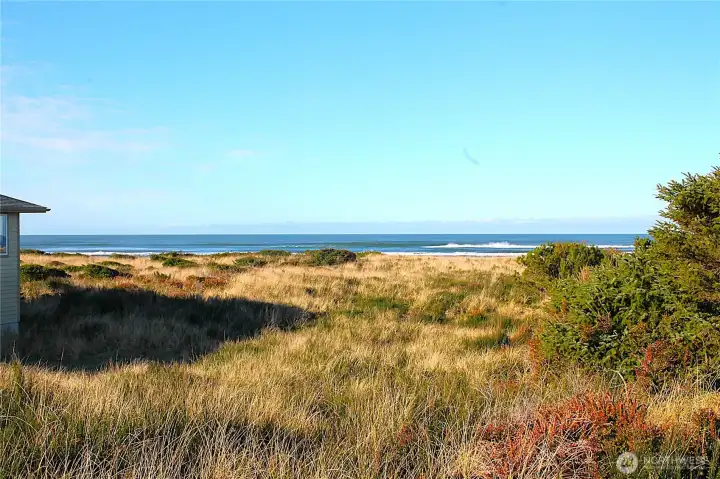 -- nestled in the dunes is --